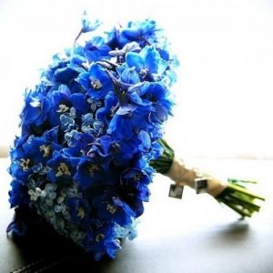 hoa cưới màu xanh dương